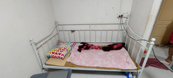 Woodlands Avenue 1 (Woodlands),  #427795941
